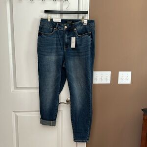 NWT Judy Blue High Waist Skinny Fit Jeans Size 18W